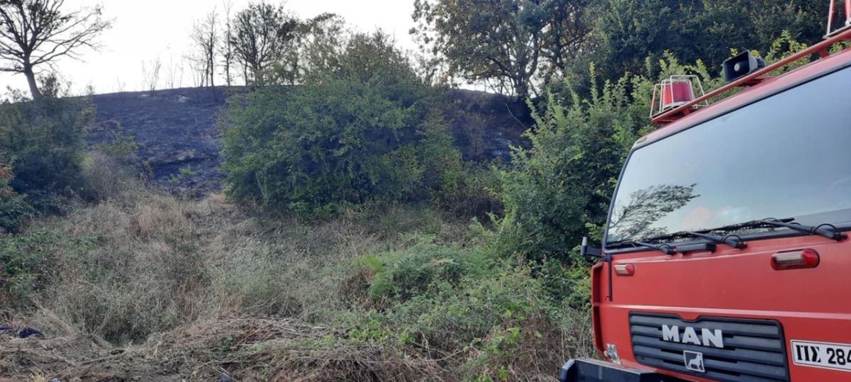 Στα 400 στρέμματα το "κόστος" της πυρκαγιάς